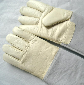 gloves